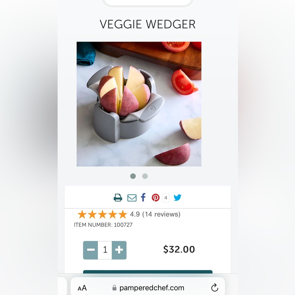 Pampered Chef Veggie Wedger